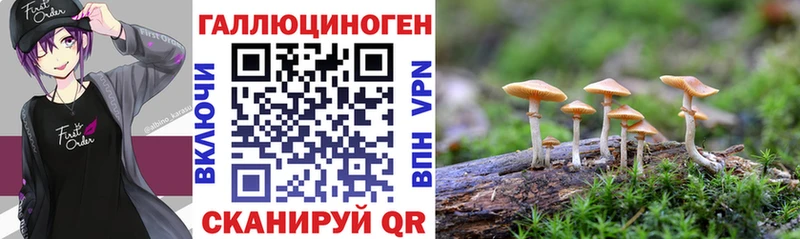 Псилоцибиновые грибы Cubensis Азнакаево